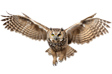 Fototapeta premium Owl flying, isolated on transparent background.