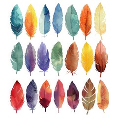 colorful watercolor feathers used as background - 784293097