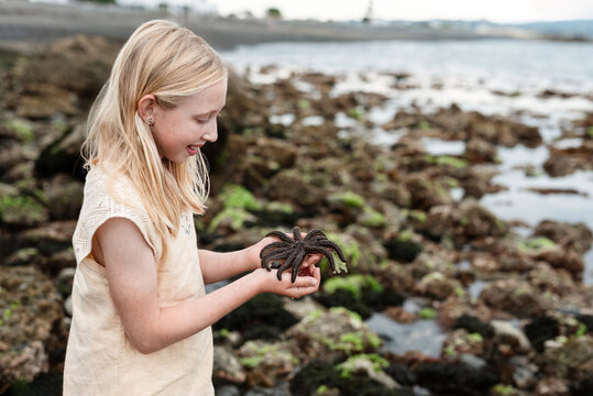 Young girl gently holding a sea star in New Zealand