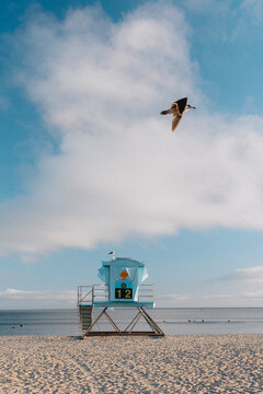 Seagull flying over lifeguard tower at Doheny State Beach