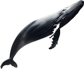 Close-up painting of a whale.