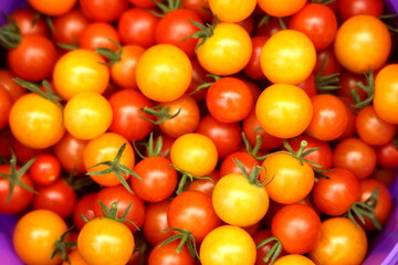tomatoes on the market