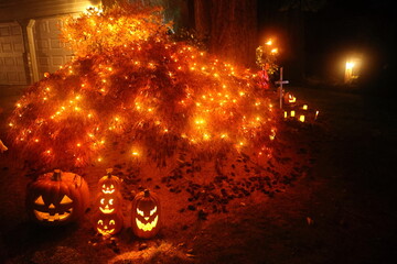 Halloween decoration and lights