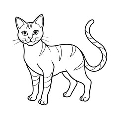 Cat vector illustration black and white cat outline