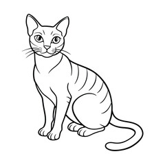 Cat vector illustration black and white cat outline