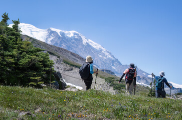 Three people hiking Sunrise Trail with Mount Rainier in the background. Mt Rainier National Park. Washington State. - 784311253
