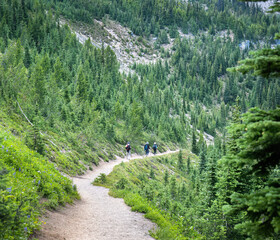 Three people hiking Sunrise Trail at Mount Rainier National Park in summer. Washington State. - 784311620