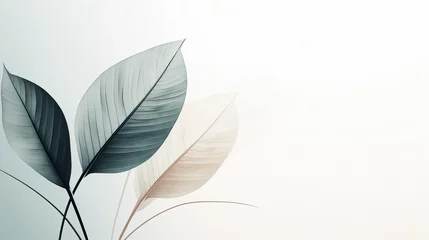 Poster A minimalistic leaf abstract design, focusing on simplicity and clean lines, perfect for a modern and understated background Background Ai Generative © SK