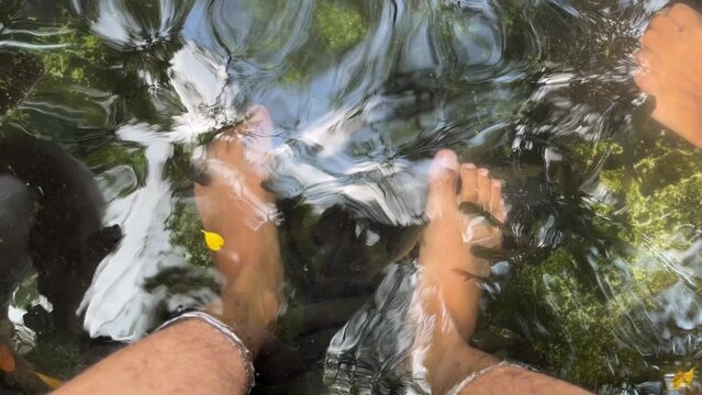 Top view of people foot inside a fish spa treatment for skin and pedicure health therapy