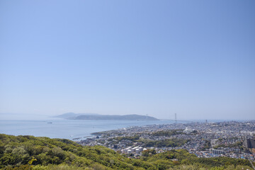 須磨浦山上遊園の桜