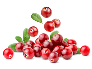 pile with falling cranberries and leaves on a white isolated background