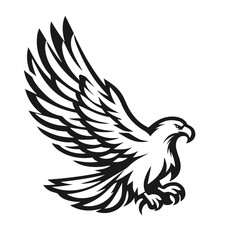 Fototapeta premium A large wild bird eagle flies with outstretched wings. Vector drawing linear sketch isolated on white background. 