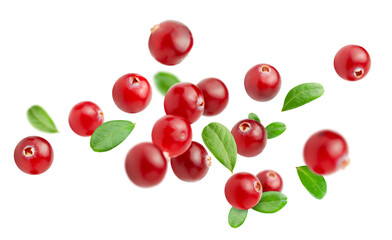 falling cranberry berries with leaves on a white isolated background