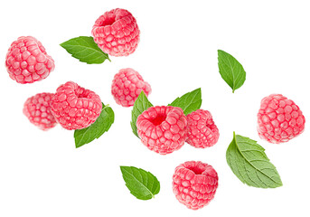 falling raspberries with leaves on a white isolated background