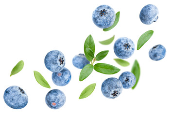 levitating blueberry with leaves on a white isolated background