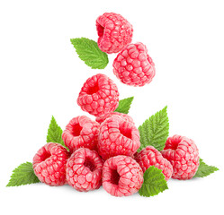 raspberry heap with leaves and several falling berries on a white isolated background