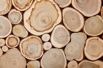 wooden background made from round sections of different trees. tree slices