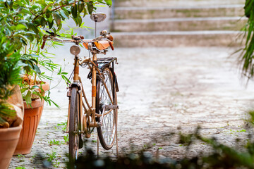 Bicicletta in stile retrò con specchietto parcheggiata vicino a delle piante in un borgo antico