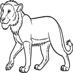 Jungle animal coloring pages for coloring book. Jungle animals outline