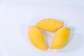 Thai fruit Mango Nam Dok Mai isolated on white background, a popular mango used to make Thai desserts called Thai Mango Sticky Rice.