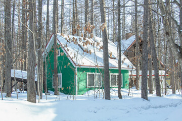 森の中の緑の家