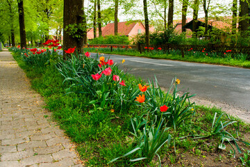Eine Dorfstraße bepflanzt mit Tulpen am Straßenrand