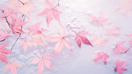 Pink leaves on the surface of the water. Beautiful background with water ripples for product presentation. Summer refreshing background.