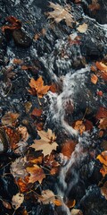 Rushing stream, close up, surrounded by fallen leaves, crisp air 