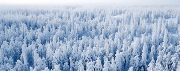 Panoramic view of a winter wonderland, with an icy and snowy forest landscape stretching out beneath the clear sky. - obrazy, fototapety, plakaty
