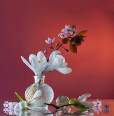 spring white  flowers in glass vase on pink background