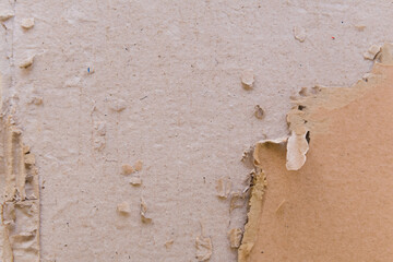 Texture of Torn Cardboard, Abstract Background.