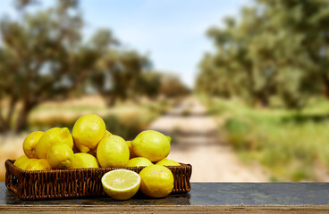 Halfah Basket full of lemons on kitchen near field view