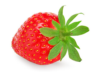 single strawberry isolated on white background. macro. clipping path