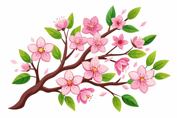 illustration-of-cherry-blossom-on-white-background