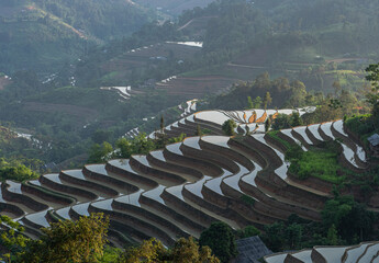Coming to Hoang Su Phi in the rainy season, you can freely see the soft curved terraced fields,...
