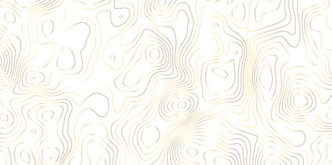 Golden stroke white background topography and topology vector