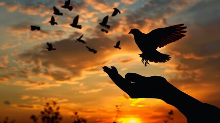 Silhouette's hand and bird flying in beautiful sky - obrazy, fototapety, plakaty
