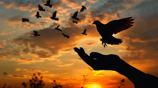 Silhouette's hand and bird flying in beautiful sky