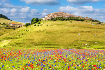 High angle view of Castelluccio di Norcia during colourful blooming fields, Castelluccio, Perugia province, Umbria, Italy