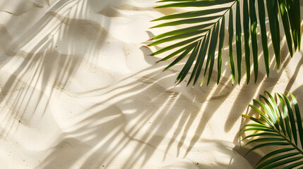 Top view of green tropical leaf shadow on sand color background. Flat lay. Minimal summer concept with palm tree leaf. Creative copyspace.