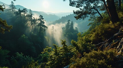 AI generated illustration of Misty forest and mountain scene while Sun is shining in the background - obrazy, fototapety, plakaty