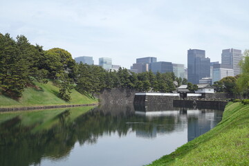 日本、東京の皇居のお堀の桜の花