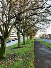 Vertical shot of a narrow road in the garden on a rainy day