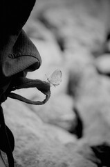 Grayscale shot of a butterfly on a piece of cloth outdoors with a blurry background