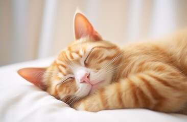 Ginger cat peacefully asleep on a white pillow and cozy blanket, AI-generated.