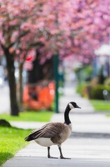 Vertical shot of a Canadian goose perched on a road