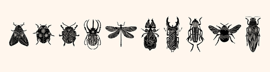 Set of various insect silhouettes in linocut style. Trendy vector illustration. - 784351858