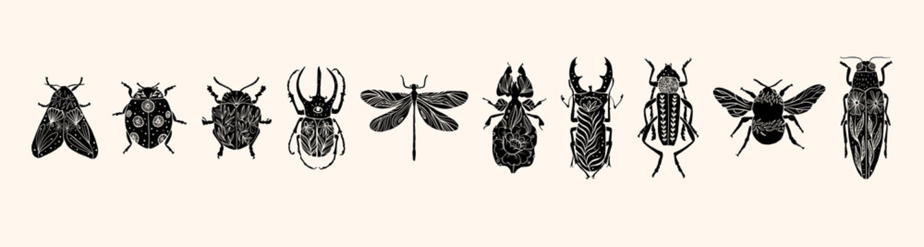 Set of various insect silhouettes in linocut style. Trendy vector illustration.