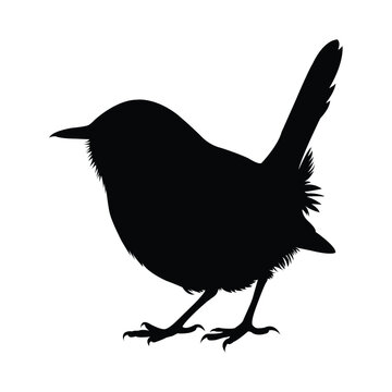 recommend clip art: silhouette of a  wren bird on white