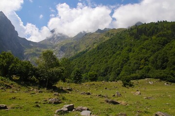 Naklejka premium Scenic drone shot of lush trees in a field on the foot of high rocky hills, cool for background